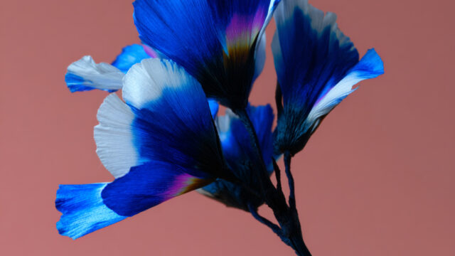 Detail of blue 'alien' flower – an imaginary flower created with AI